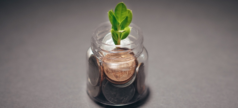a plant in a pot with coins