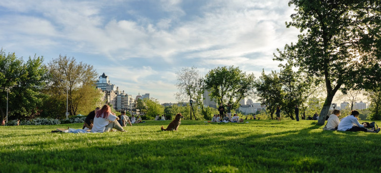 People relaxing in the park with their pets