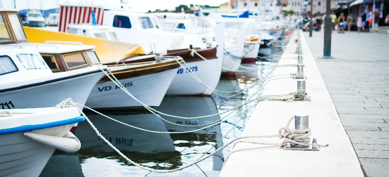 boats in the marina