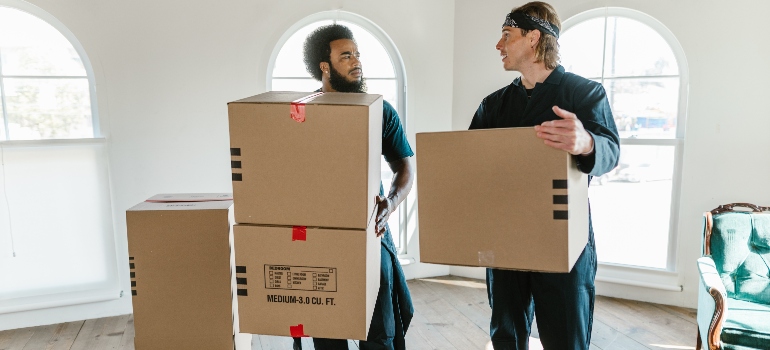 movers carrying boxes