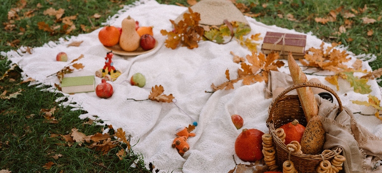 a picnic setup