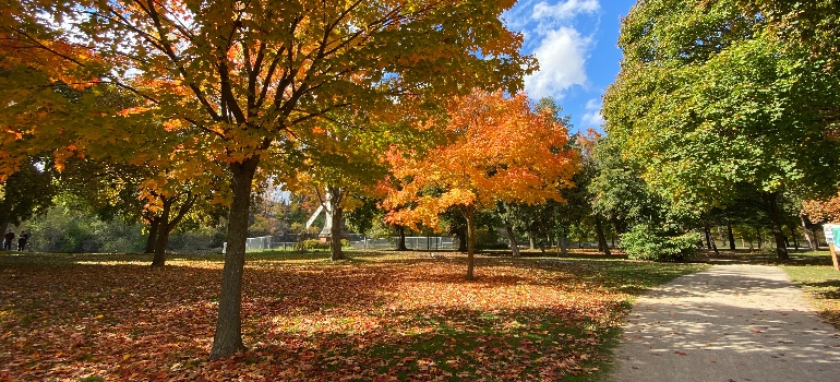 a park in Guelph