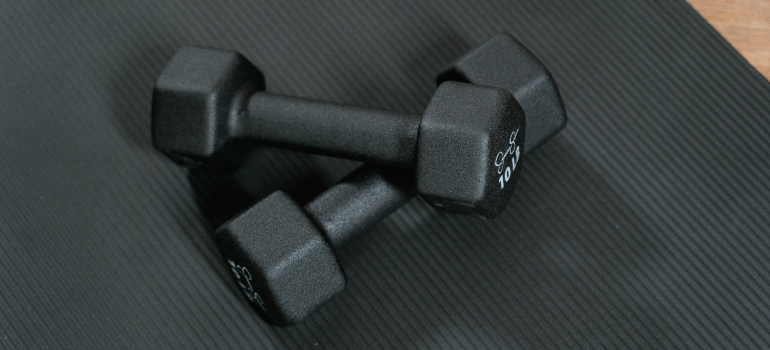 Two 10lb dumbbells