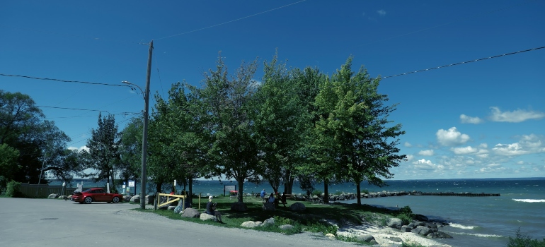 trees near the Simcoe Lake