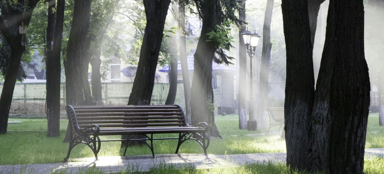Bench in a park.