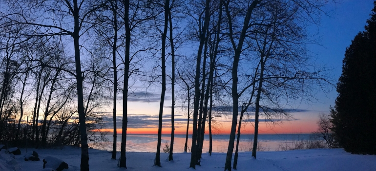 Bare trees covered by snow, Pickering which is one of the best places to retire in Canada.