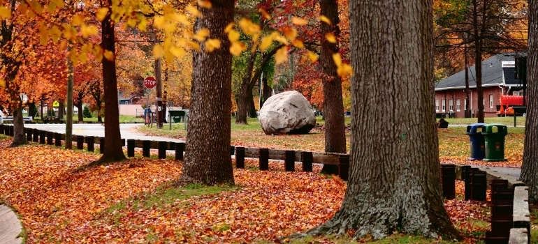 Autumn in Heards Brook Park, Woodbridge.