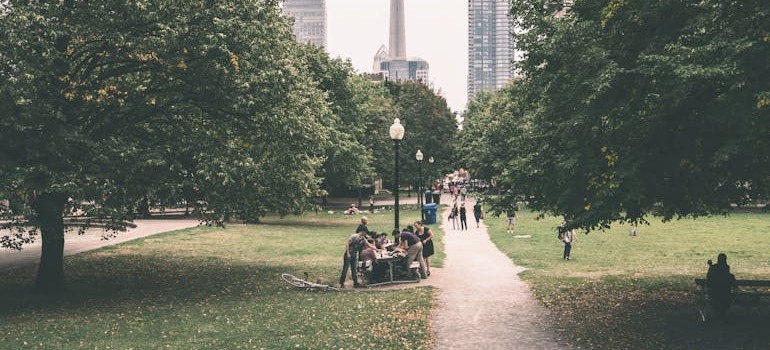 A park in Toronto