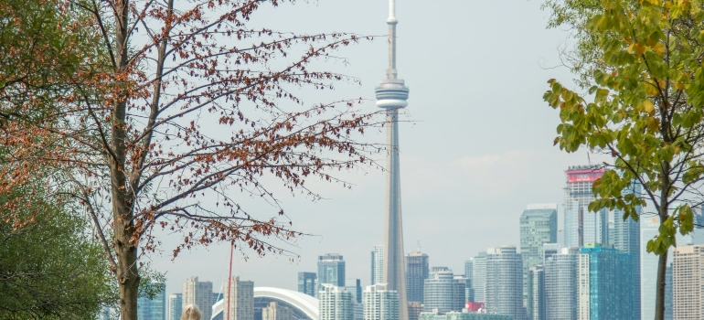 Picture of the Toronto skyline