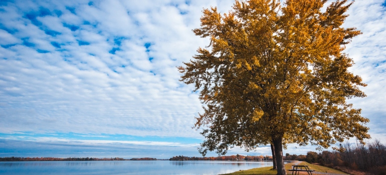 a shore in one of the best Canadian places to move to with a newborn