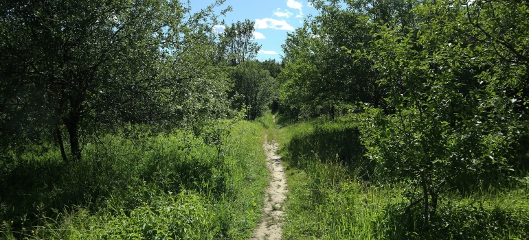 a rural area in Pickering
