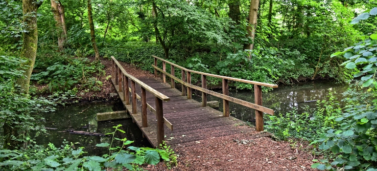 Brown Wooden Bridge over River