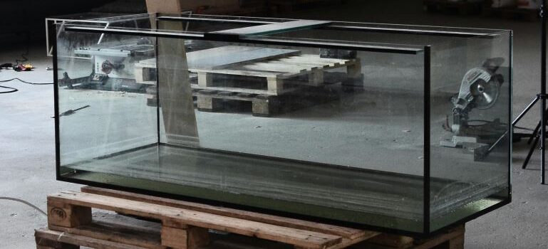 An empty aquarium
