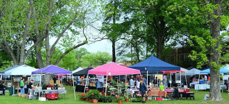 flower and food selling under the tents on a grass field