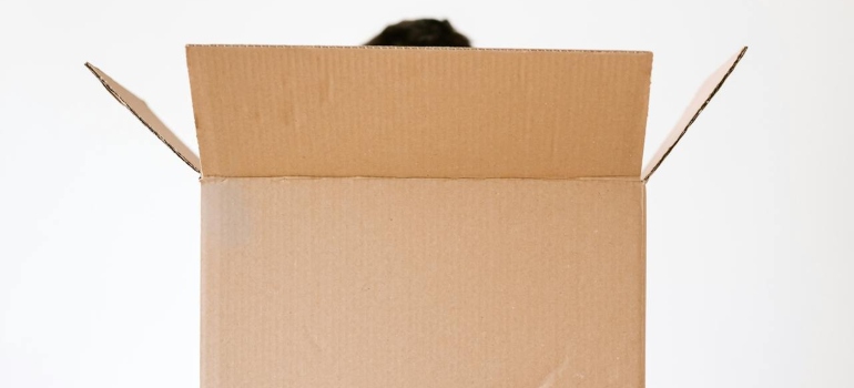 Cardboard box