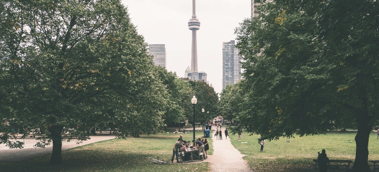 A group of people enjoy a city park in Toronto with the CN Tower in the background, symbolizing the ease of transition in urban long-distance moves.