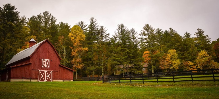 A barn in a field with trees in the background an example of finding your dream hobby farm in Alberta