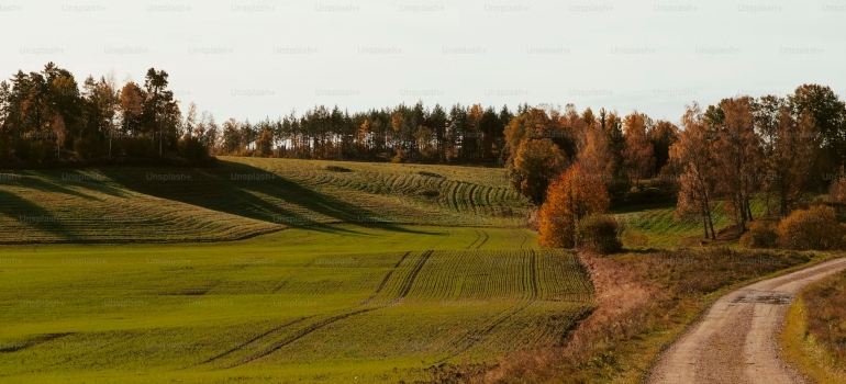 A green field with trees in the background which may be ideal when finding your dream hobby farm in Alberta