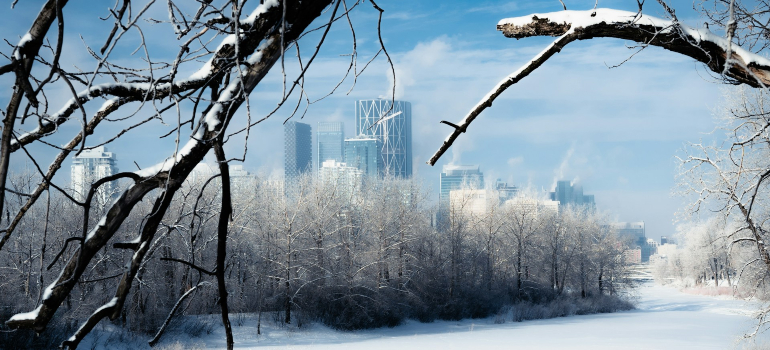 Winter in Calgary
