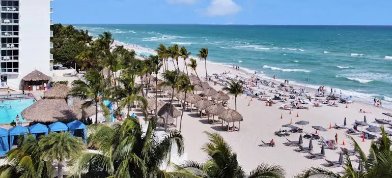 Sandy beach with palm trees, ocean and beach chairs