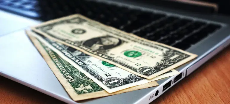greenback on laptop