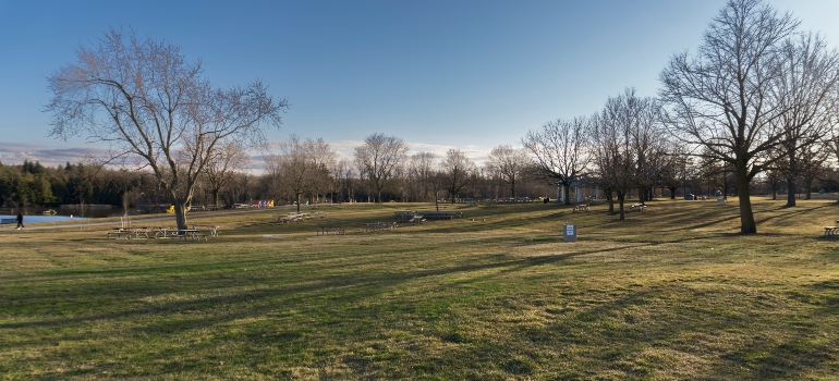 Wide view of an open park field with bare trees, long shadows, and a clear blue sky.